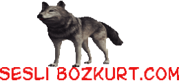 SesliBozkurt.Com - Sesli Site,Sesli Siteler,Sesli Siteleri,Sesli Chat,Sesli Sohbet,Sesli Sitesi.Sesli Siteler,Sesli Siteleri.